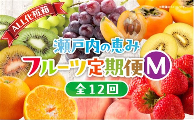 【ALL化粧箱】【12回毎月お届け】高松市自慢のフルーツ定期便【M】 372013_T006-777J