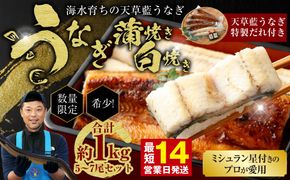 【ミシュラン星付きのプロが愛用】海水育ちの天草藍うなぎ 紅白5～7尾セット【合計約1kg】ウナギ 鰻 蒲焼き 白焼き 数量限定!!