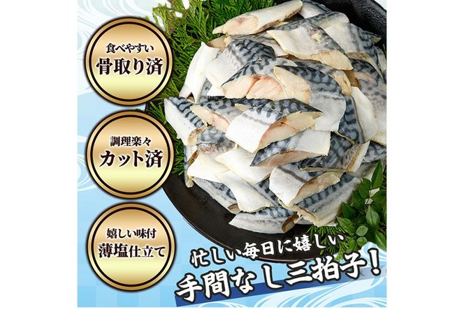 生活応援 塩サバフィーレ1枚付き！骨取り 肉厚 さば切身(54切れ) 骨とり サバ切身 小分け 切り身 鯖 さば 塩サバ 塩鯖 骨なし 骨取り済 カット済 塩焼き 簡単 フライ 魚 海鮮 冷凍 お弁当 おかず 【AW-72】【丸正水産】