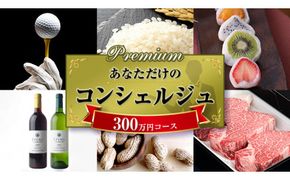 あなただけの プレミアム コンシェルジュ コース ( 300万円 ) 特別 オーダーメイド サービス [ZZ011us]
