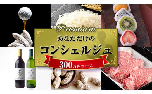 あなただけの プレミアム コンシェルジュ コース ( 300万円 ) 特別 オーダーメイド サービス [ZZ011us]