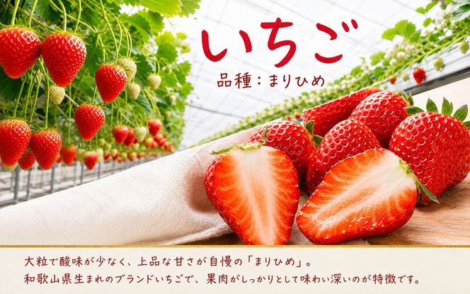 【全3回】紀州和歌山産旬のフルーツ定期便 (田村みかん・いちご・なつみ) 【tkb374】