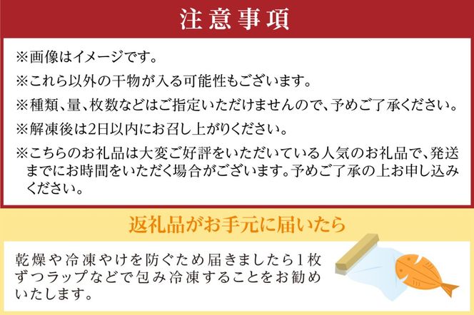 京丹後の地元魚屋が作ったお任せ干物セット（冷凍） TB00024