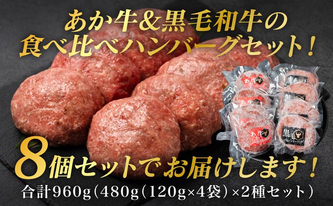 食べ比べハンバーグセット（あか牛ハンバーグ＆黒毛和牛ハンバーグ）