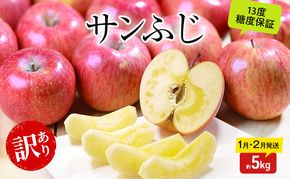 りんご 【1月・2月発送】 糖度13度以上 訳あり品 家庭用 サンふじ 約 5kg 【 青森りんご  果物 フルーツ デザート 食後 青森県産 産地直送 贈り物  】