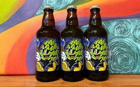 FILL BREWING クラフトビール ReFILL (American IPA) 6本 ビール ギフト 沖縄市 / FILL BREWING[BCEE003]