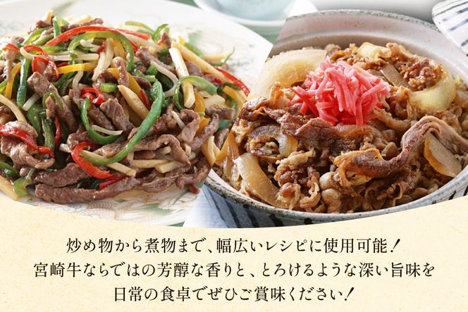 牛肉 宮崎牛 小間切れ 200g 10P 計2kg [マルミヤストア 宮崎県 美郷町 31ag0147] 小分け 国産 黒毛和牛 黒毛 和牛 BBQ