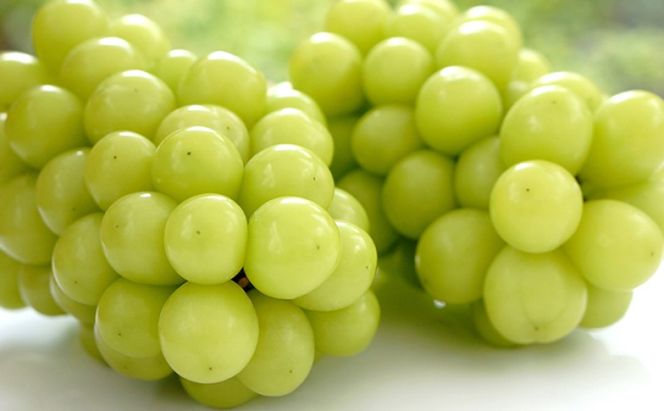 ぶどう 【2026年 先行予約】 シャインマスカット 4房(合計2.8kg以上) マスカット ブドウ 葡萄 岡山県産 国産  フルーツ 果物 ギフト