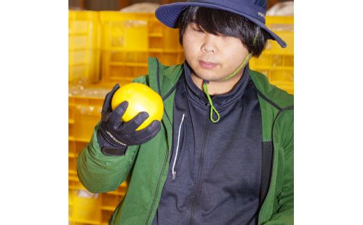 【先行予約】三宮果樹園の土佐文旦 訳あり 5kg〈2027年2月14日～2027年3月15日発送〉ぶんたん ブンタン 5キロ 10玉前後 フルーツ 柑橘 みかん 果物 くだもの 柑橘類 デザート ご自宅用 ご家庭用 自分用 お取り寄せ 高知県 土佐市【三宮果樹園】[BQAP005]
