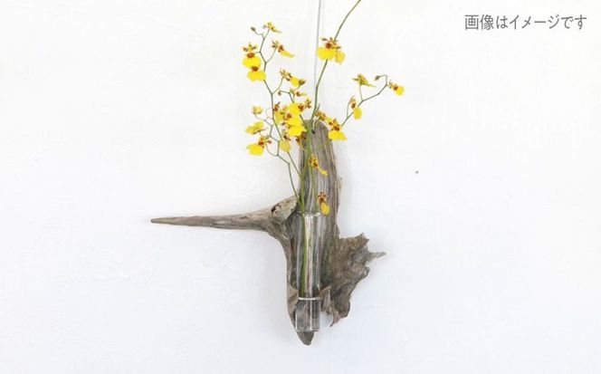 Driftwood FlowerBase 流木一輪挿し フラワーベース 糸島市 / WOOD'ARBRE(ウッドラヴル)【TIME】 インテリア 雑貨[ADC003] インテリア 雑貨 一輪挿し 流木 お洒落 木 おしゃれ オシャレ シンプル 壁掛