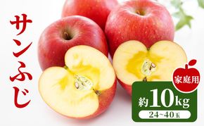 【2026年11月下旬～発送予定】先行予約 訳あり りんご サンふじ 約10kg 24～40玉入 家庭用 フルーツ 果物 甘い おいしい 林檎 リンゴ