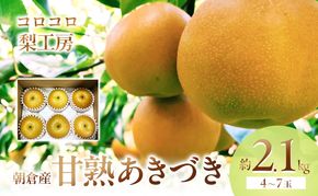 梨 あきづき まるで食べる梨ジュース！！甘熟 あきづき梨 約2.1kg 4～7玉入 配送不可 離島 ナシ 果物 フルーツ 先行予約 