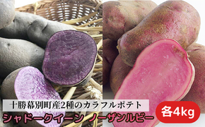 十勝 幕別町産 カラフルポテト8kg 2種(シャドークイーン4kg・ノーザンルビー4kg) 渡邉農場 [2026年11月出荷開始]【 野菜 いも イモ 芋 じゃがいも ジャガイモ 北海道 十勝 幕別 】