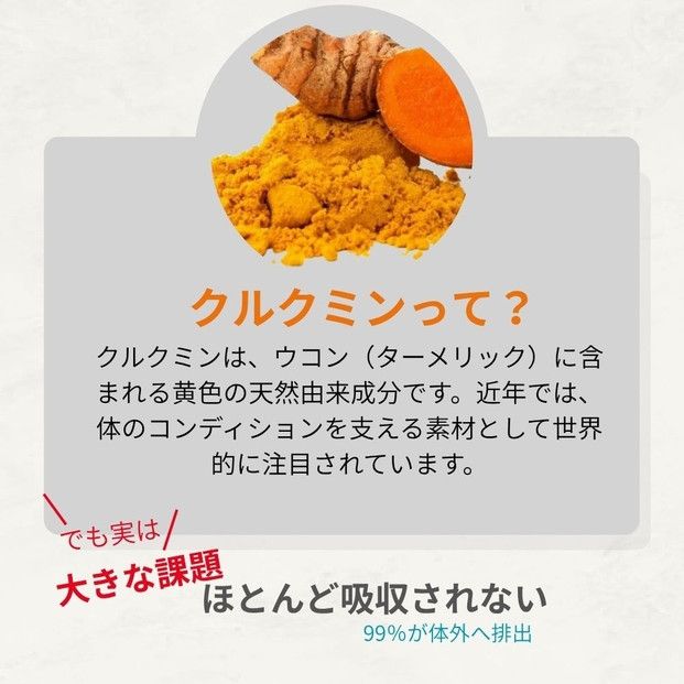 高吸収型クルクミン　クルクルージュ62粒入り3本 141305_ND03