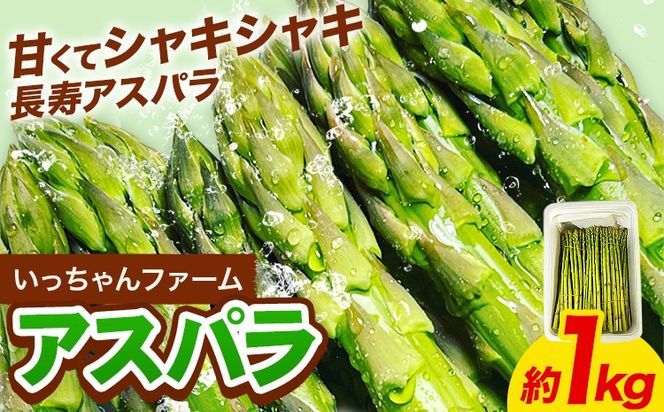 アスパラガス 約1kg  いっちゃんファーム《3月上旬-9月下旬頃出荷》熊本県 氷川町 氷川産 野菜 アスパラガス アスパラ---sh_cichnasp_26_ab39_10500_1kg---