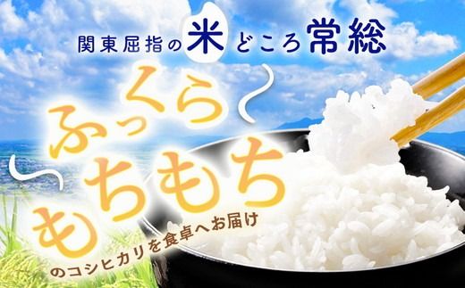 【令和7年産】【無洗米】コシヒカリ5kg 茨城県常総市産 精米｜米 お米 白米 ご飯 コメ こめ こしひかり