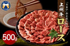 牛肉 ロース 【上州牛】 500gパック   群馬県 千代田町 国産 牛肉 ブランド牛 精肉 肉 お肉 焼肉 バーベキュー BBQ キャンプ アウトドア 食品 冷凍便 グルメ お取り寄せ グルメ 送料無料 【ch013-005rh】