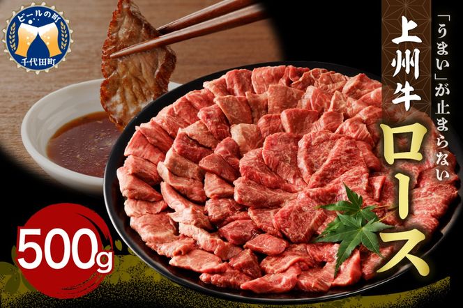 牛肉 ロース 【上州牛】 500gパック   群馬県 千代田町 国産 牛肉 ブランド牛 精肉 肉 お肉 焼肉 バーベキュー BBQ キャンプ アウトドア 食品 冷凍便 グルメ お取り寄せ グルメ 送料無料 【ch013-005rh】