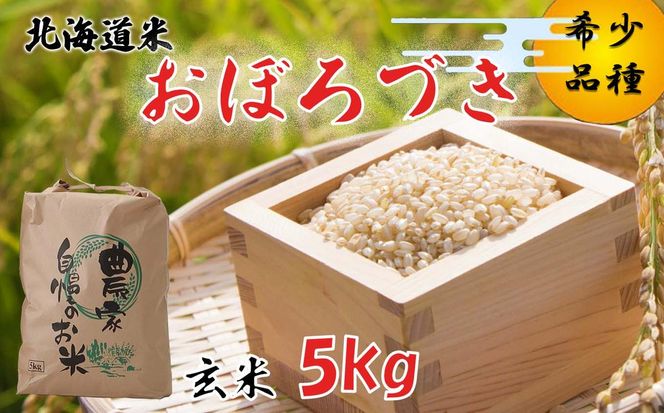令和7年度産 北海道米 おぼろづき 玄米 5kg 北海道 新ひだか町
