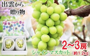 【2026年9月下旬以降発送】[農家直送]厳選シャインマスカット1.2kg箱[持田農園] 322032_EB007