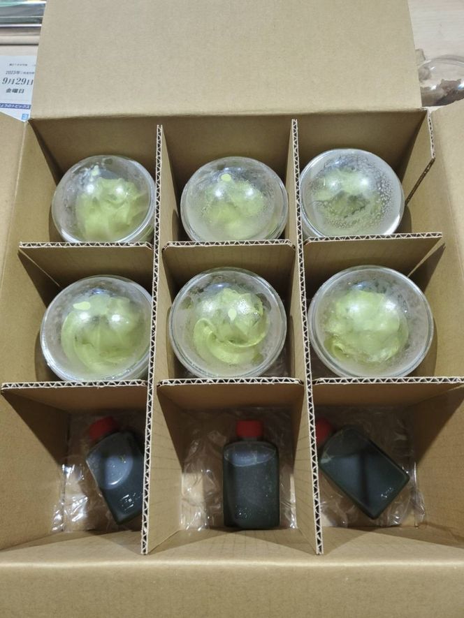 アイス 抹茶 6個 セット シロップ付き 濃厚 ソフトクリーム アイスクリーム スイーツ 静岡 藤枝