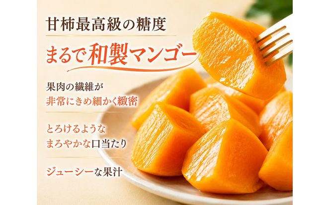 【先行予約】【鳥取市産・良品】花御所柿 約5kg｜甘柿最高クラスの糖度 追熟でとろける食感 和製マンゴーとも称される希少ブランド柿 312011_GN005