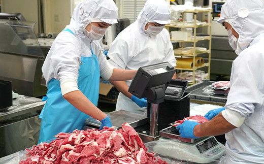 【定期便12ヶ月】淡路牛 切り落し　1.2kg (300g×4パック）　小分け 冷凍 牛肉 切り落とし