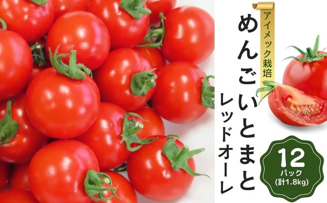 めんごいとまと TYレッドオーレ 150g×12パック ( 計1.8kg ) 4月発送 めんごいとまとたむら アイメック栽培 ミニトマト トマト プチトマト 冬トマト 野菜 農家直送 ギフト プレゼント 新鮮 福島県 田村市 堀越農園 N057-003