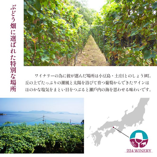 島醸造 シャルドネ 2024 750ml 小豆島醸造 白ワイン 日本ワイン 化粧箱入り お酒 酒 ワイン 熟成 贈り物 ギフト 国産 香川 香川県 土庄 土庄町