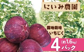 【露地栽培】朝もぎ フレッシュな完熟いちじく 碧南市 にいみ農園 フルーツ いちじく トマト農家 H031-007