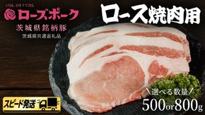 【 スピード 発送 】＼ 選べる内容量 ／【 ローズポーク 】 豚 ロース 焼肉 用 500g / 800g (茨城県共通返礼品) 肉 お肉 豚肉 国産豚 国産 銘柄豚 ブランド豚 豚ロース 焼肉 BBQ 冷凍肉