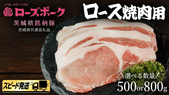 【 スピード 発送 】＼ 選べる内容量 ／【 ローズポーク 】 豚 ロース 焼肉 用 500g / 800g (茨城県共通返礼品) 肉 お肉 豚肉 国産豚 国産 銘柄豚 ブランド豚 豚ロース 焼肉 BBQ 冷凍肉