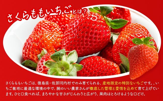 【CF】いちご 佐那河内村限定 さくらももいちご  24粒 28粒 化粧箱 JA徳島市佐那河内支所 ふる里産品推進協議会《3月発送》徳島県 佐那河内村【配送不可地域あり】※離島 | ブランドいちご 産地直送 ギフト大賞 ジューシー---sanagouchi_hss_8_1k---