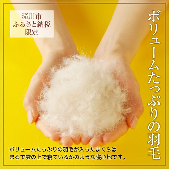 ダウン枕（中）枕カバー付き ホテル仕様 綿100% 完全国内生産 羽毛 枕 まくら 北海道滝川市