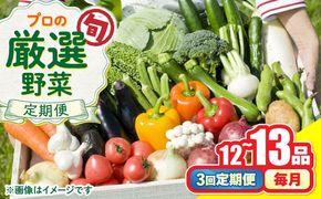 【3回定期便】野菜のプロが選ぶ 旬の野菜セット 12〜13品目 野菜定期便 / 野菜 やさい セット 新鮮 / 南島原市 / 愛2農園[SGG004]