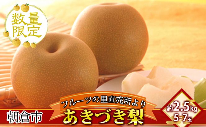 梨 フルーツの里の直売所より あきづき梨 2.5kg ナシ 果物 先行予約 子供 おやつ くだもの 