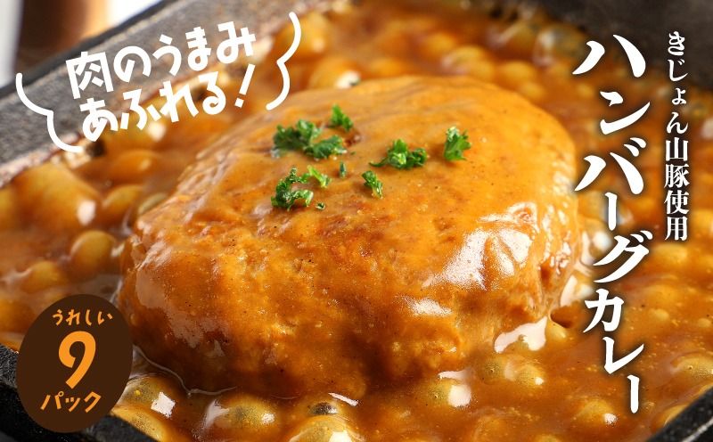 レトルト ハンバーグカレー 9パック K16_0042_2