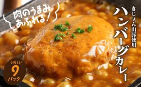 レトルト ハンバーグカレー 9パック K16_0042_2