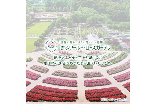 ぎふワールド・ローズガーデン 入園券 2枚【0070-001】