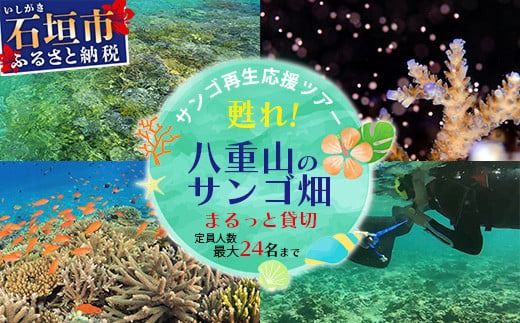 サンゴ再生応援ツアー ～甦れ！八重山のサンゴ畑～（24名まで）　JL-2【沖縄 八重山 八重山諸島 石垣島 サンゴ サンゴ礁 応援 ツアー 体験】 ※ご寄付の前にご予約お願いします。