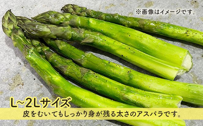 先行予約 2026年 夏アスパラガス 約1kg L～2L 混合 斎藤農園 野菜 アスパラガス 栄養豊富 ほんのり甘い 肉質しっかり あっさりとした食味  おつまみ 料理 お弁当 食材 青森県 鰺ヶ沢町