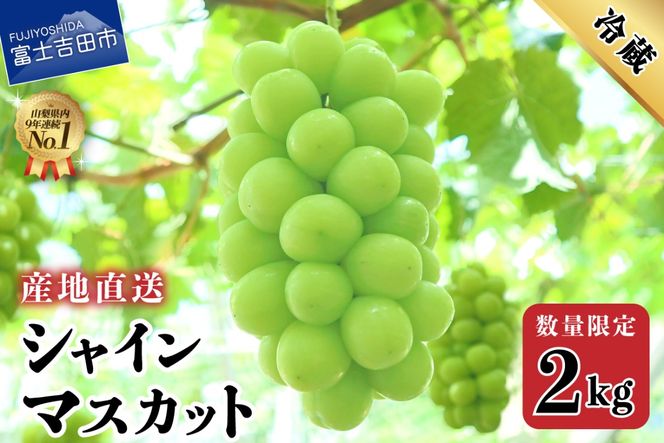 【2026年発送】産地直送 高級シャインマスカット2kg以上（3～4房）