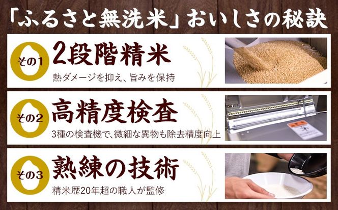 無洗米 訳あり 家庭用 熊本ふるさと 無洗 米 選べる内容量 5kg 10kg