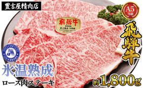 ロース肉ステーキ 10枚（約1800g）　氷温(R)熟成　飛騨牛Ａ５等級 リキッドフリーズ [No.539]