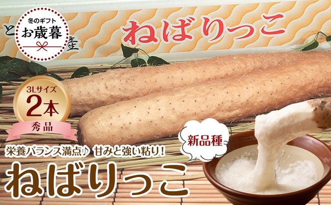 744.【2026年お歳暮　のし付】【先行予約】【ＪＡ】ねばりっこ　秀3Ｌ×2本　※着日指定不可　※離島への配送不可　※順次発送予定 313726_BN025