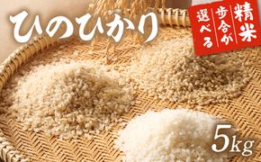 令和8年産 新米予約受付！自然栽培米ひのひかり5kg〈栽培期間中農薬・肥料不使用〉【ほのわ】_HA1609