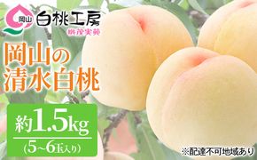 桃 2026年 先行予約 清水 白桃 1.5kg 5～6玉 もも モモ 岡山 国産 フルーツ 果物 ギフト 桃茂実苑 果肉 