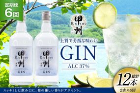 【定期便6回】甲州韮崎 ジン 700ml×2本 ジントニック ハイボール 甲州韮崎 ジン セット 酒 お酒 洋酒 地酒 スピリッツ 蒸留酒 国産 カクテル JIN ソーダ割り ソーダ アルコール 37％ ボタニカル GIN ライム [株式会社マツムラ酒販 山梨県 韮崎市 20744985]