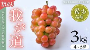 【 訳あり 】 我が道 3kg 【2026年9月発送開始】(茨城県共通返礼品：大子町) シャインマスカット ウインク 葡萄 ブドウ ぶどう 果物 フルーツ 希少 新品種　 わけあり ワケあり ご自宅用 ご家庭用 自分用