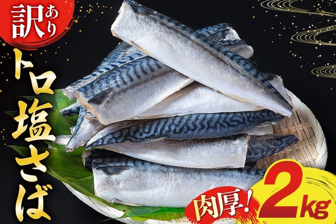 y{錧Csz󂠂 To tB 2kg [{X {錧 Cs 20565508]   CN e To  I TotB TotB[ ItB ؂g Ⓚ A 󂠂 킯 gTo  Ƃ낳